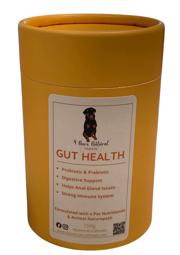 Gut Health Supplement - Probiotic & Prebiotic